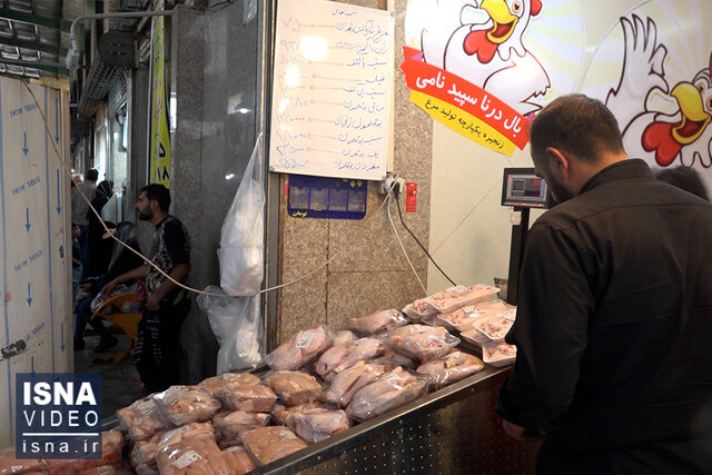 ویدیو/ علت تشکیل صف برای خرید مرغ